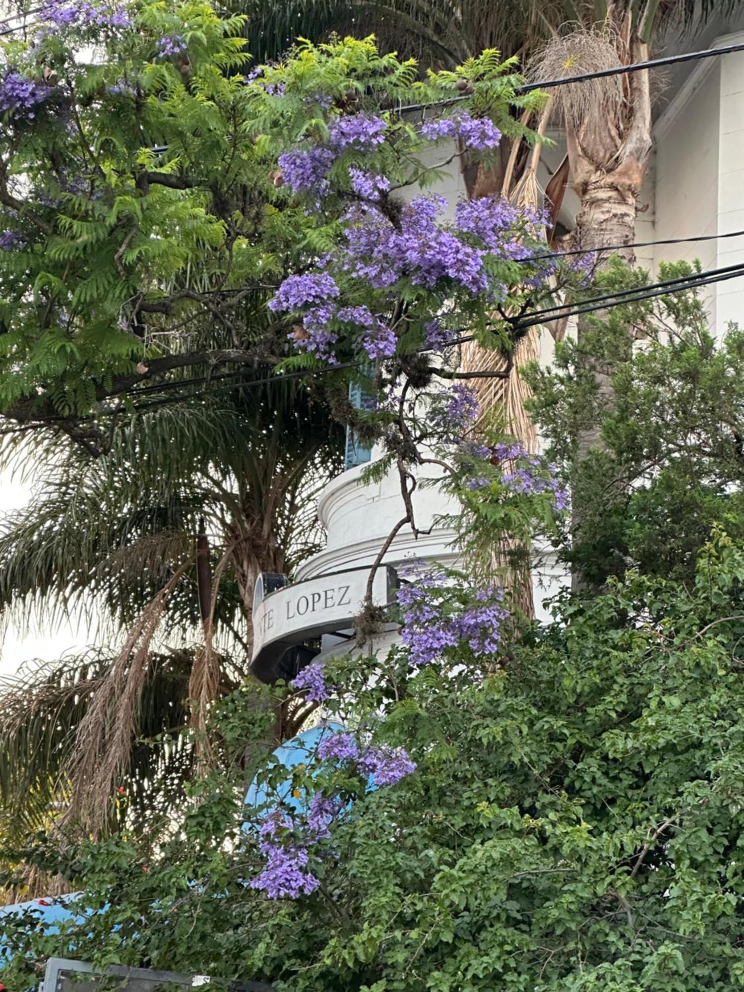 Hotel Vicente López Exterior foto