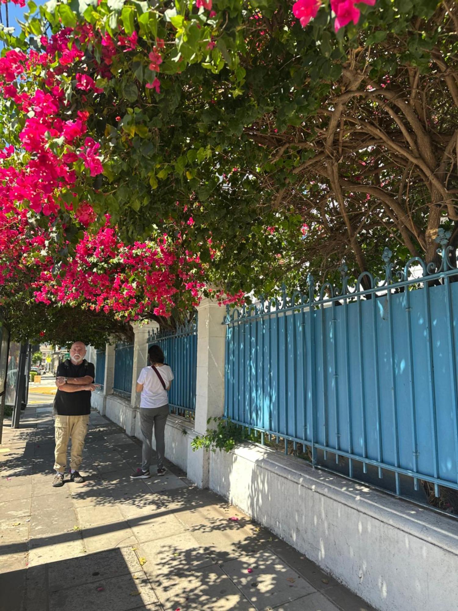 Hotel Vicente López Exterior foto